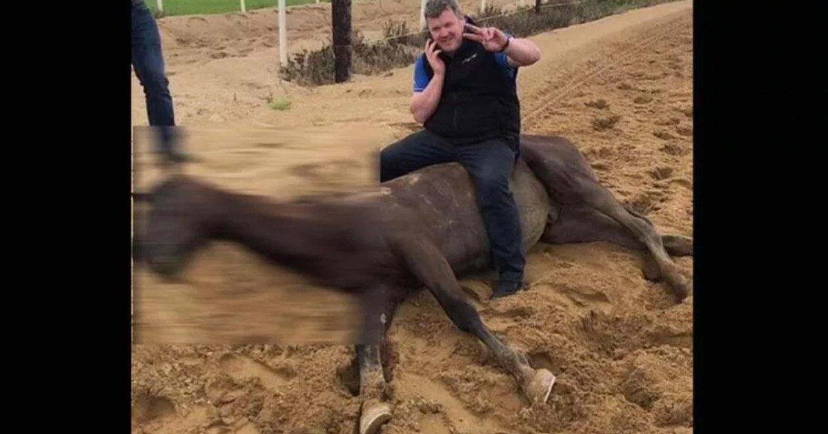 Si fa fotografare sorridente in groppa ad un cavallo morto steso per terra: sospeso il celebre Gordon Elliott nella bufera