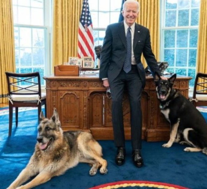 I cani di Joe Biden cacciati dalla Casa Bianca: Major ha morsicato un addetto alla sicurezza