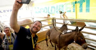 Copertina di Lo snodo lumbard degli allevamenti intensivi, qui l’agricoltura ha un peso anche elettorale