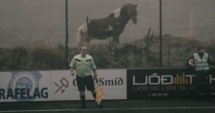 Domeniche bestiali – Chiede test antidoping per smascherare gli avversari: il suo compagno di squadra positivo alla cocaina