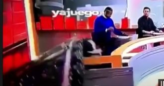 Copertina di Maxischermo crolla in diretta addosso a un giornalista e lo colpisce in pieno: panico nello studio tv – VIDEO