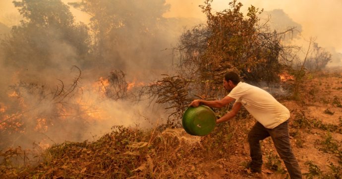 “Venduta anche in Italia la carne brasiliana proveniente dalle terre incendiate da aziende fornitrici dei big del settore”