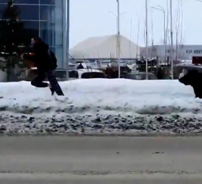 Orso scappa dalla gabbia e insegue un pedone per strada: il video girato nella città russa