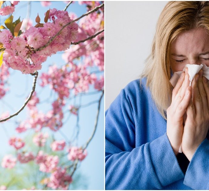 Allergie di primavera: quali sono i sintomi, i rimedi e i rischi dei farmaci tradizionali