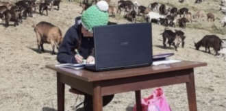 Copertina di DaD, non tutto è perduto: la storia di Fiammetta è un esempio unico (che fa bene leggere)