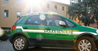 Copertina di Forestali, il passaggio ai Carabinieri ha fatto risparmiare (solo) 31 milioni di euro in tre anni