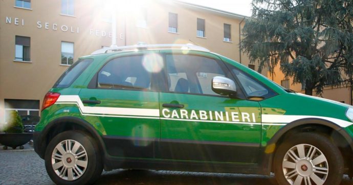Forestali, il passaggio ai Carabinieri ha fatto risparmiare (solo) 31 milioni di euro in tre anni