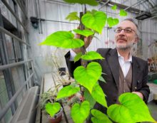 Copertina di Il prof Mancuso: “Con il lockdown abbiamo vissuto come piante. Impariamo da loro”