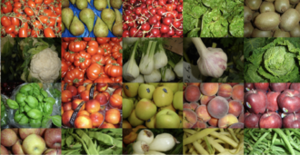 Copertina di Radicali liberi, come contrastare lo stress ossidativo che fa invecchiare e ammalare: le regole da seguire