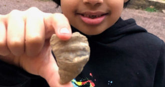 Copertina di “Stavo cercando vermi in giardino e ho visto questo”: bimbo di 6 anni trova un fossile di 488 milioni di anni fa dal valore inestimabile