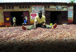 Copertina di Uova di cioccolato e strage di agnelli: ecco quanto inquina la Pasqua tradizionale