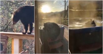 Copertina di L’orso si gode l’idromassaggio caldo sul balcone: le immagini incredibili riprese dal padrone di casa (video)