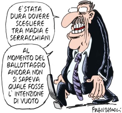 Copertina di La vignetta di Fanzaroli