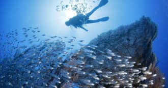 Copertina di Senti chi parla: come spiare il mondo intero frugando il Mar Rosso