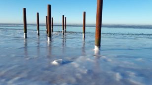 Copertina di Biodiversità e habitat marini, nel Pnrr si apre uno spiraglio. E stavolta anch’io ho contato qualcosa