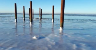 Biodiversità e habitat marini, nel Pnrr si apre uno spiraglio. E stavolta anch’io ho contato qualcosa