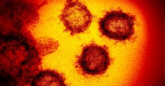 Copertina di Covid, l’inchiesta di Report sul virus fornito dallo Spallanzani al Vector Institute del governo russo