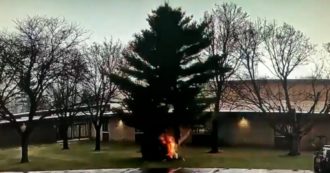 Copertina di Così un fulmine distrugge un albero in pochi secondi: il video diffuso dal centro meteo Usa è spettacolare