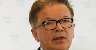 Copertina di Austria, si dimette ministro della Sanità: esaurito dalla pandemia. “Non voglio autodistruggermi”