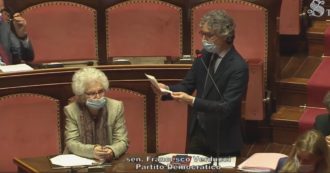 Copertina di Il Senato ha approvato l’ordine del giorno per la cittadinanza italiana a Patrick Zaki. Ma la viceministra: “Valutare gli effetti negativi”