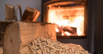 Copertina di Cambiamenti climatici, le biomasse legnose potrebbero giocare un ruolo fondamentale