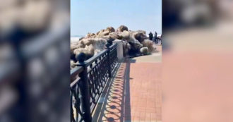 Paura in strada, il fiume ghiacciato irrompe all’improvviso sul marciapiede: il video del raro fenomeno