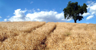 Copertina di Europa, quasi il 40% del suolo coltivabile è a rischio erosione. “Terreno sano è alla base dell’agricoltura”