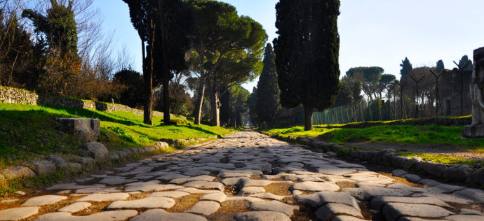 Copertina di La mattanza dei pini nei parchi di Roma: la responsabilità è pubblica