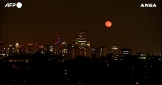 Copertina di Superluna rosa, ecco lo spettacolare fenomeno nei cieli di Londra – Video
