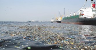 Copertina di Porti, l’assist di Italia Viva per inquinare di più i fondali
