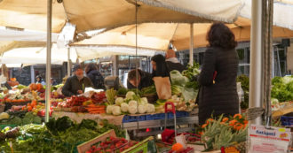 Copertina di Roma, approvata la delibera su produzione e consumo di prodotti locali. Raggi: “La capitale avrà politica del cibo volta alla sostenibilità”