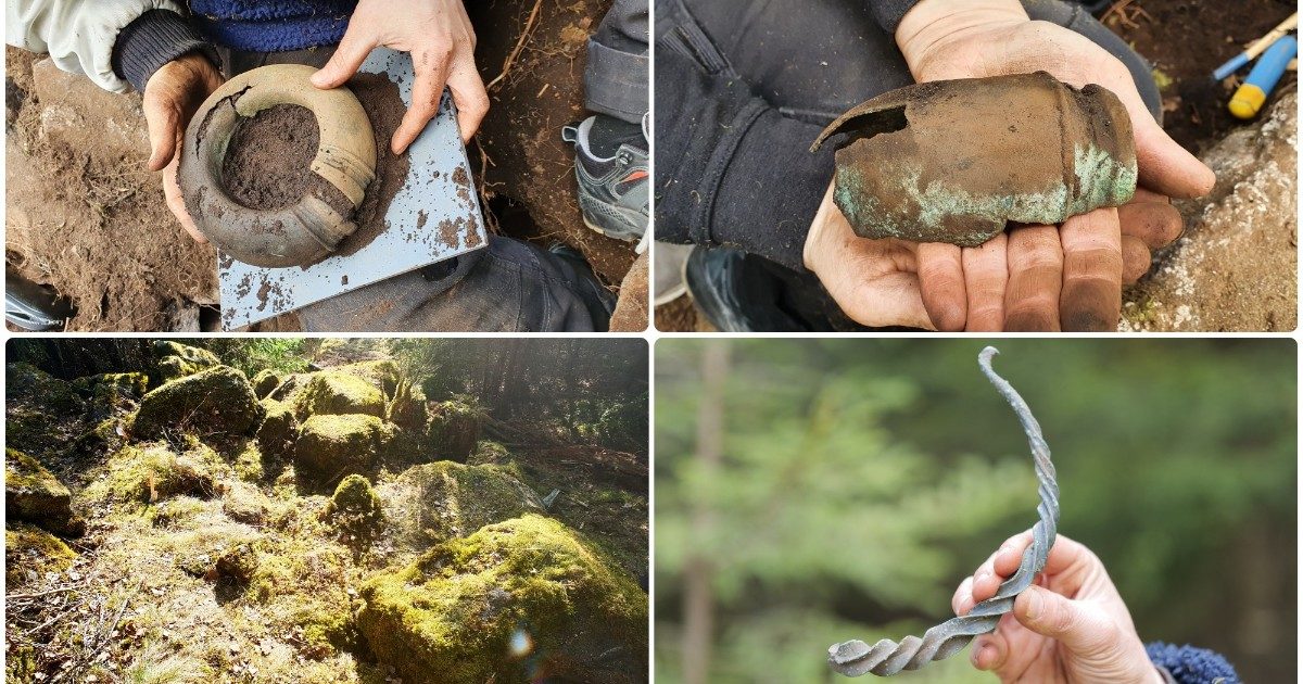 Svezia, va a camminare nel bosco e ritrova gioielli dell’età del bronzo: “Appartenuti a una donna di alto rango”