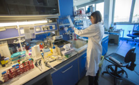 Copertina di Covid, caccia delle varianti del virus: nuova collaborazione tra l’Istituto Mario Negri e Atss di Bergamo Est