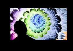 Copertina di Token non fungibili per le opere d’arte, in rete anche un fiorente mercato delle truffe