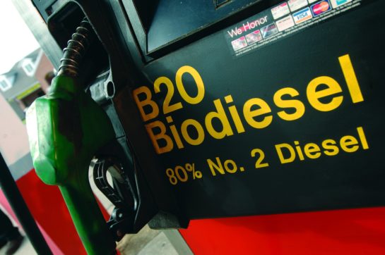 Copertina di Oli dannosi per l’ambiente e costi alti per gli automobilisti: ma è così green il biodiesel?