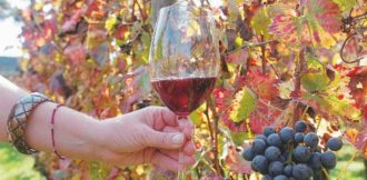 Copertina di Vini, l’anno si chiude bene ma il 2022 inizia con molte incertezze
