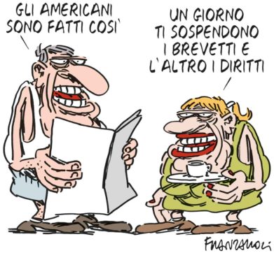 Copertina di La vignetta di Franzaroli