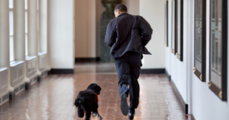 Copertina di Barack Obama, morto Bo il cane di famiglia: “Abbiamo perso un vero amico, ne avevamo bisogno”