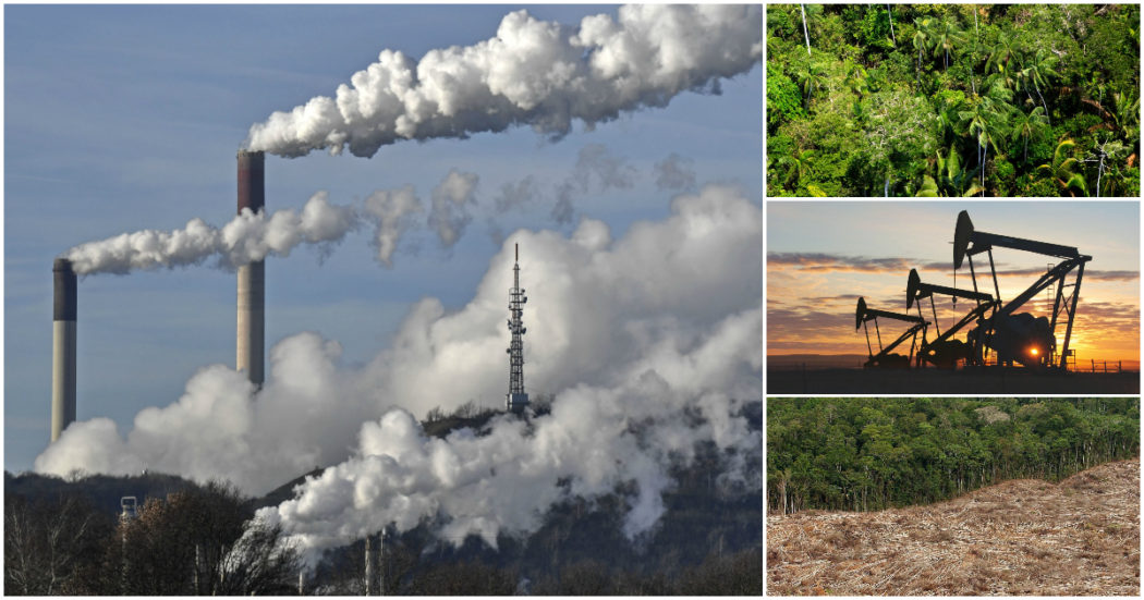 Clima, piantare foreste per inquinare di più: cosa c’è dietro i progetti di compensazione di CO2 delle multinazionali. Report Greenpeace su Eni