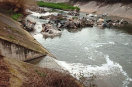 Copertina di Innovazione e bioeconomia: gli strumenti per recuperare il tempo perso sui siti contaminati