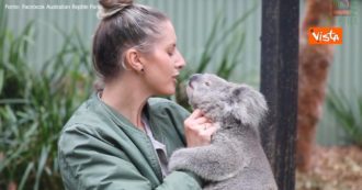 Copertina di Anche il koala Elsa ha celebrato la festa della mamma: l’abbraccio con la custode Hayley è tenerissimo – Video