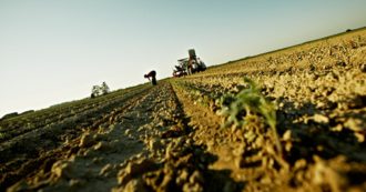 Copertina di L’Ocse stronca la politica agricola comune dell’Ue: a furia di veti e accordi al ribasso, ha perso la sfida della sostenibilità ambientale