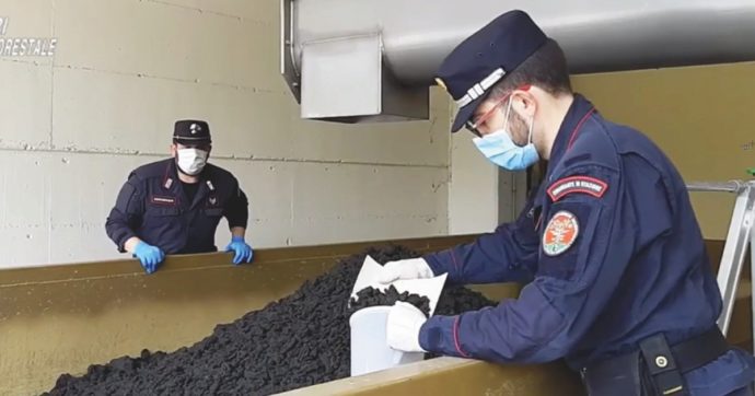 Fanghi tossici venduti come concime per i campi, 15 indagati in azienda di Brescia: “Ogni tanto penso ai bambini che mangiano questo mais”