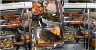 Un topo mangia dal bancone di un supermarket di Roma, il gestore: “Ricattato, ho pagato per non far uscire il video”. Ma dopo 2 mesi arrivano i Nas