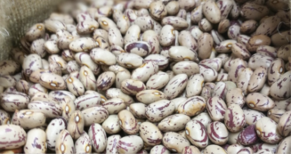 Copertina di I fagioli? Possono aiutare durante l’andropausa, migliorano la salute del colon e non solo: benefici e ricette