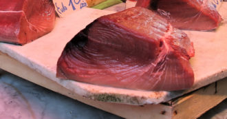Copertina di Firenze, nove persone finiscono in ospedale dopo aver mangiato tonno fresco in due ristoranti. Indagini dell’Asl