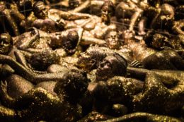 Copertina di I corpi ignari di Kitty Von-Sometime: dalla solidarietà nascono accettazione e consapevolezza di sé