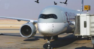 Copertina di Treviso, esposto in Procura sull’aeroporto: “Troppi uccelli, pericoloso aumentare i voli”