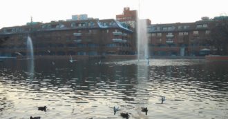 Copertina di “Il boss De Stefano doveva avere denaro da Milano2”