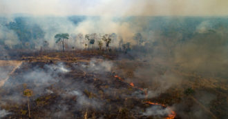 Copertina di Amazzonia, attacco mortale ad ambiente e indios: l’ecocidio della foresta e il genocidio dei suoi popoli iniziato 500 anni fa